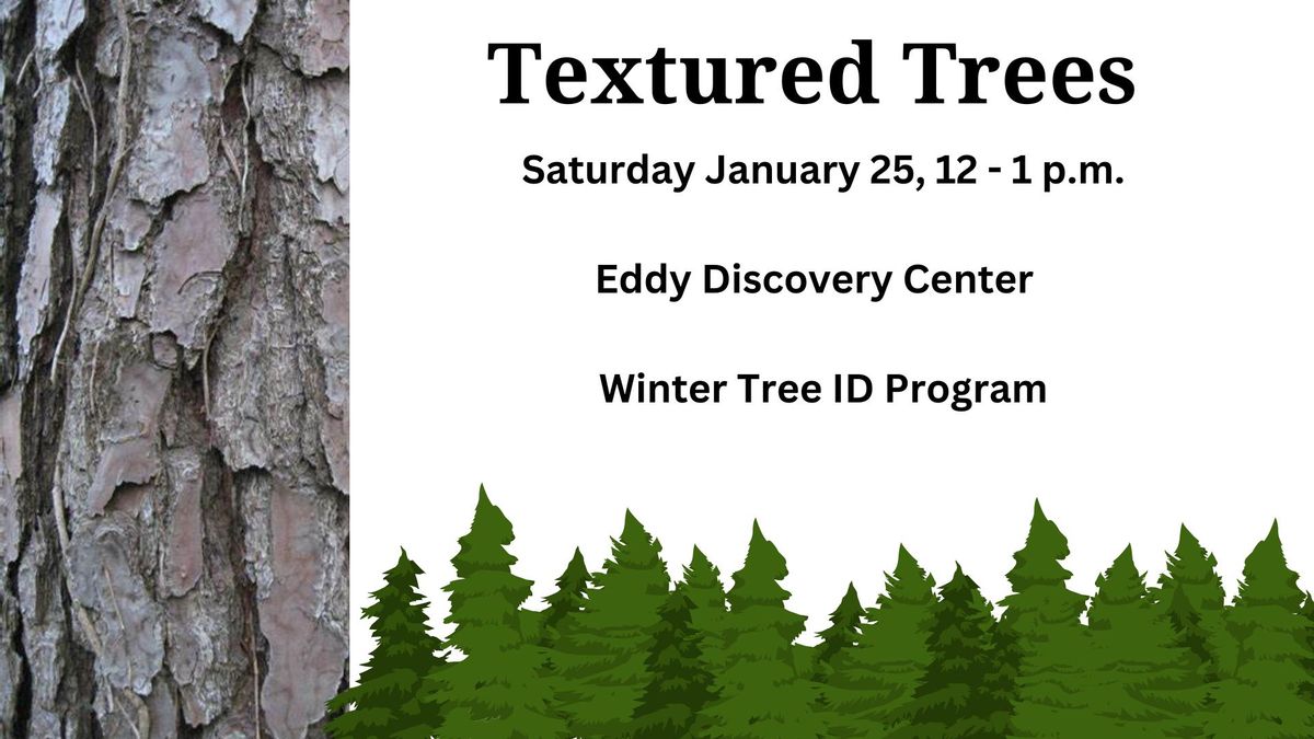 Textured Trees