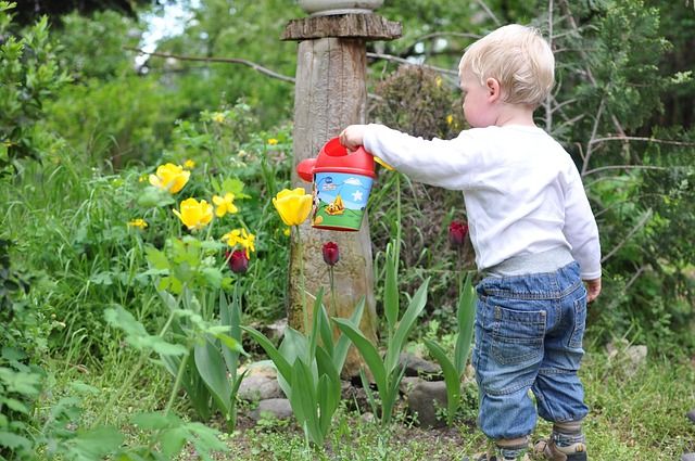 Grow Your Garden Family Storytime