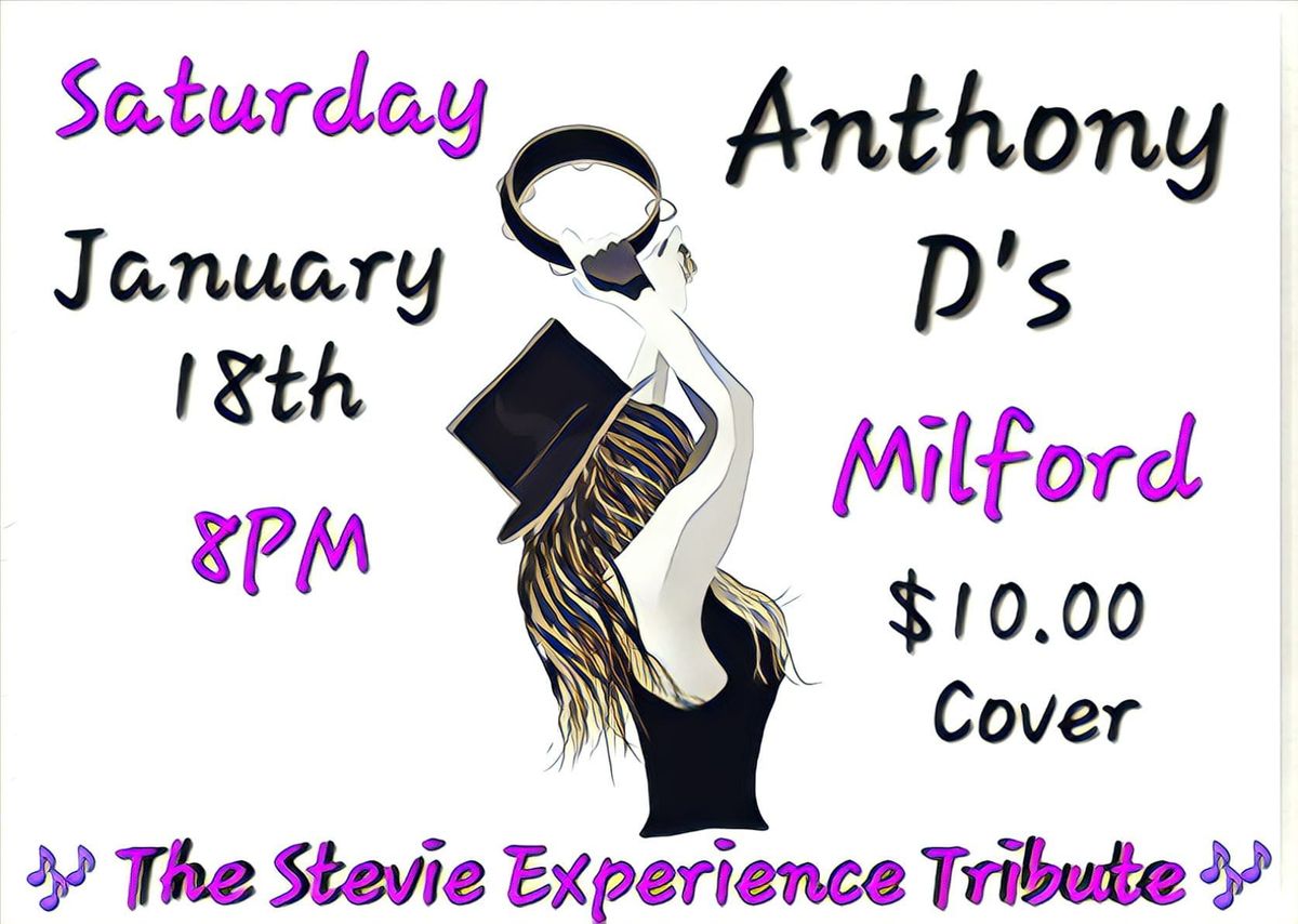 The Stevie Experience Tribute Enchants Anthony D's in Milford