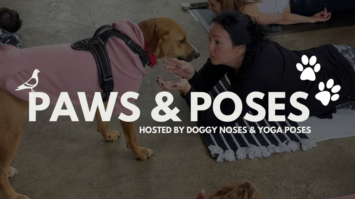 Puppy Yoga w\/ Operation Paws for Homes at Eavesdrop! 
