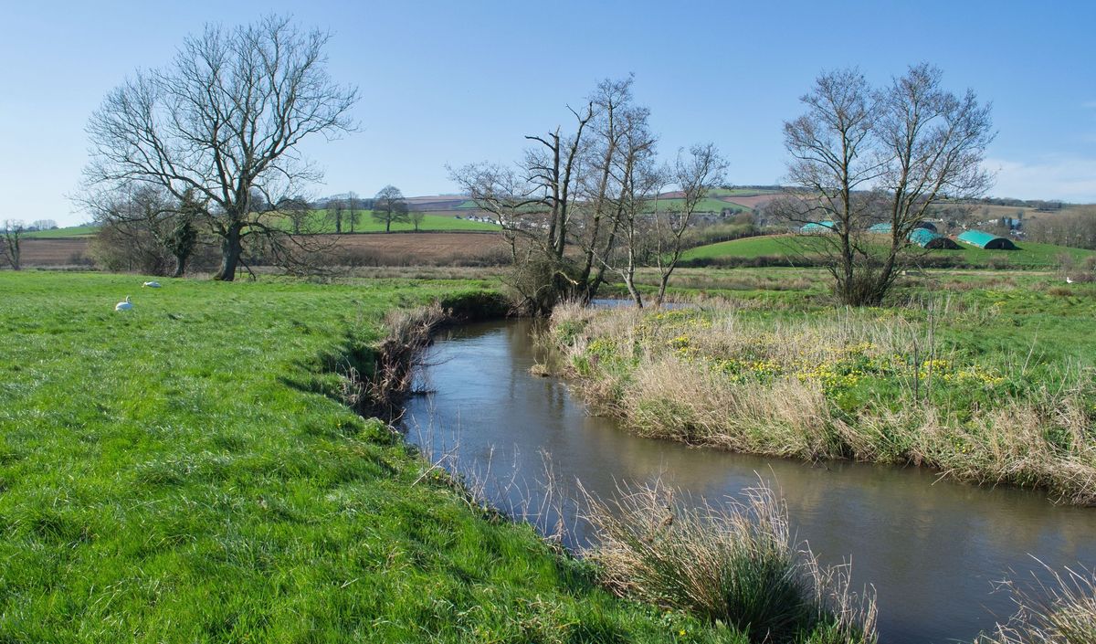 Sustainable Bradninch Winter Talk: Connecting the Culm