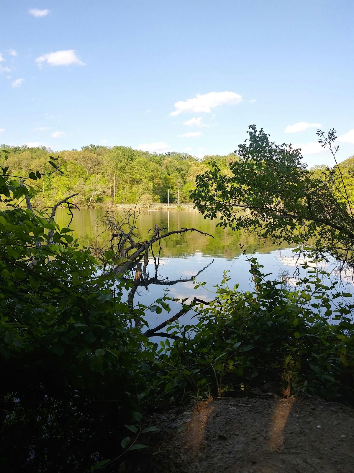 Middle Jones Falls Stakeholder Meeting