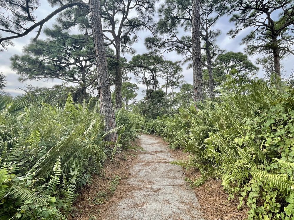 MORNING BOTANIZING at PONDHAWK NATURAL AREA with HELEN & JULIA in Boca Raton, FL