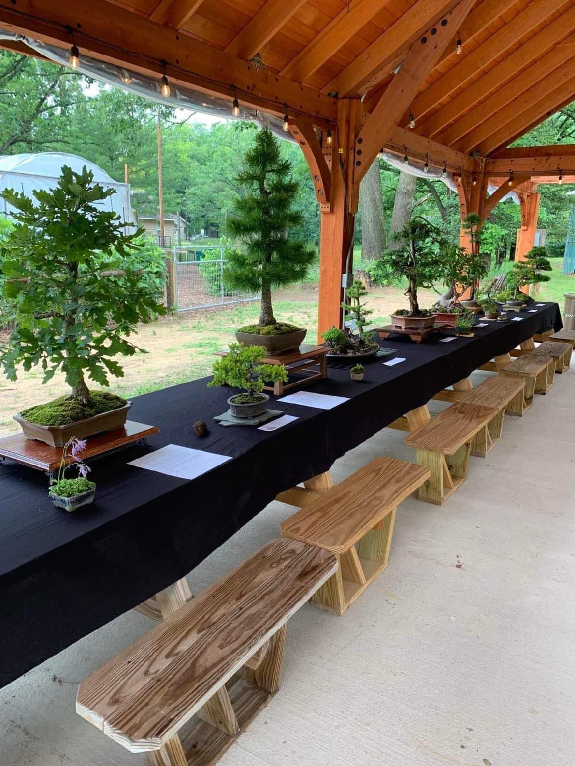 Bonsai Workshop at the Botanic Gardens in Traverse City