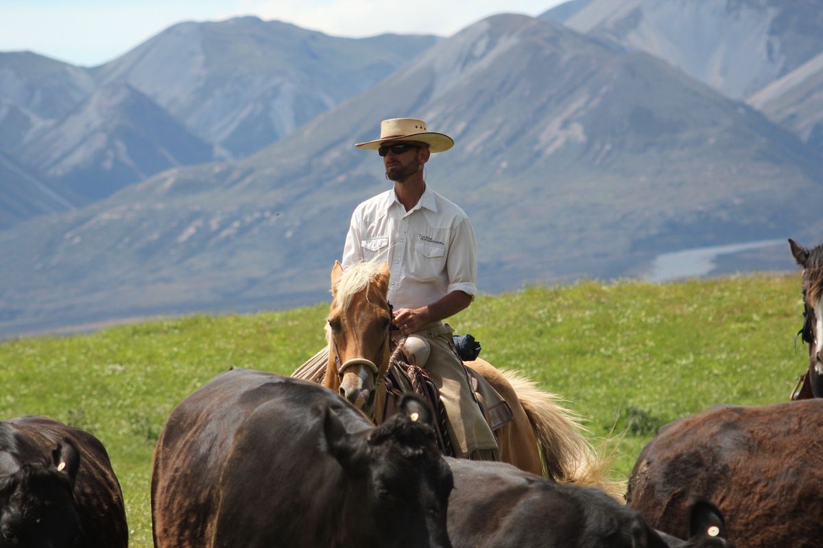 Dunedin, NZ: 2 Day Cattlework Clinic