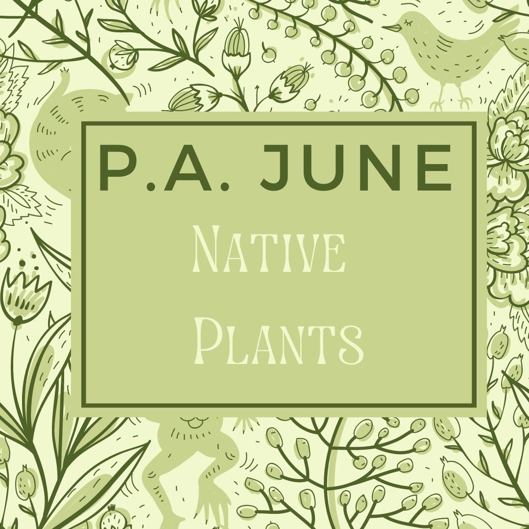 Plantoholics Anonymous June