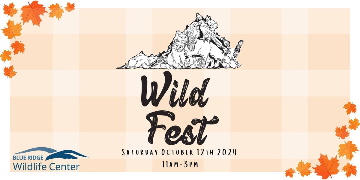 WildFest 2024