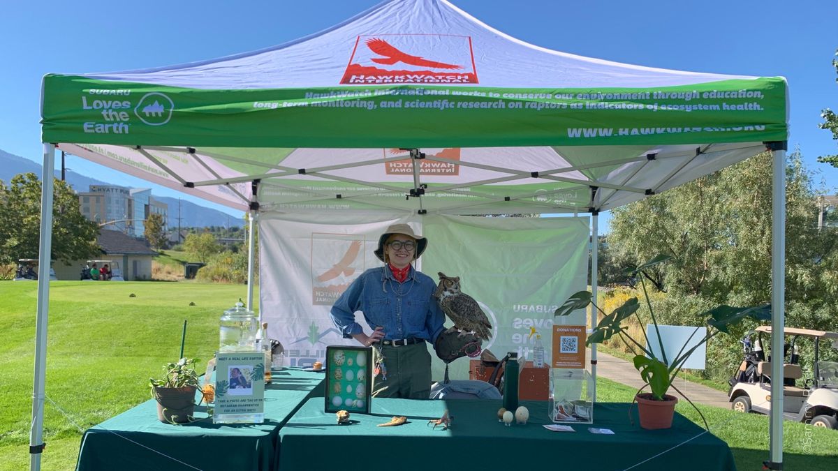 Birds in your Backyard \u2013 Wardle Fields Regional Park