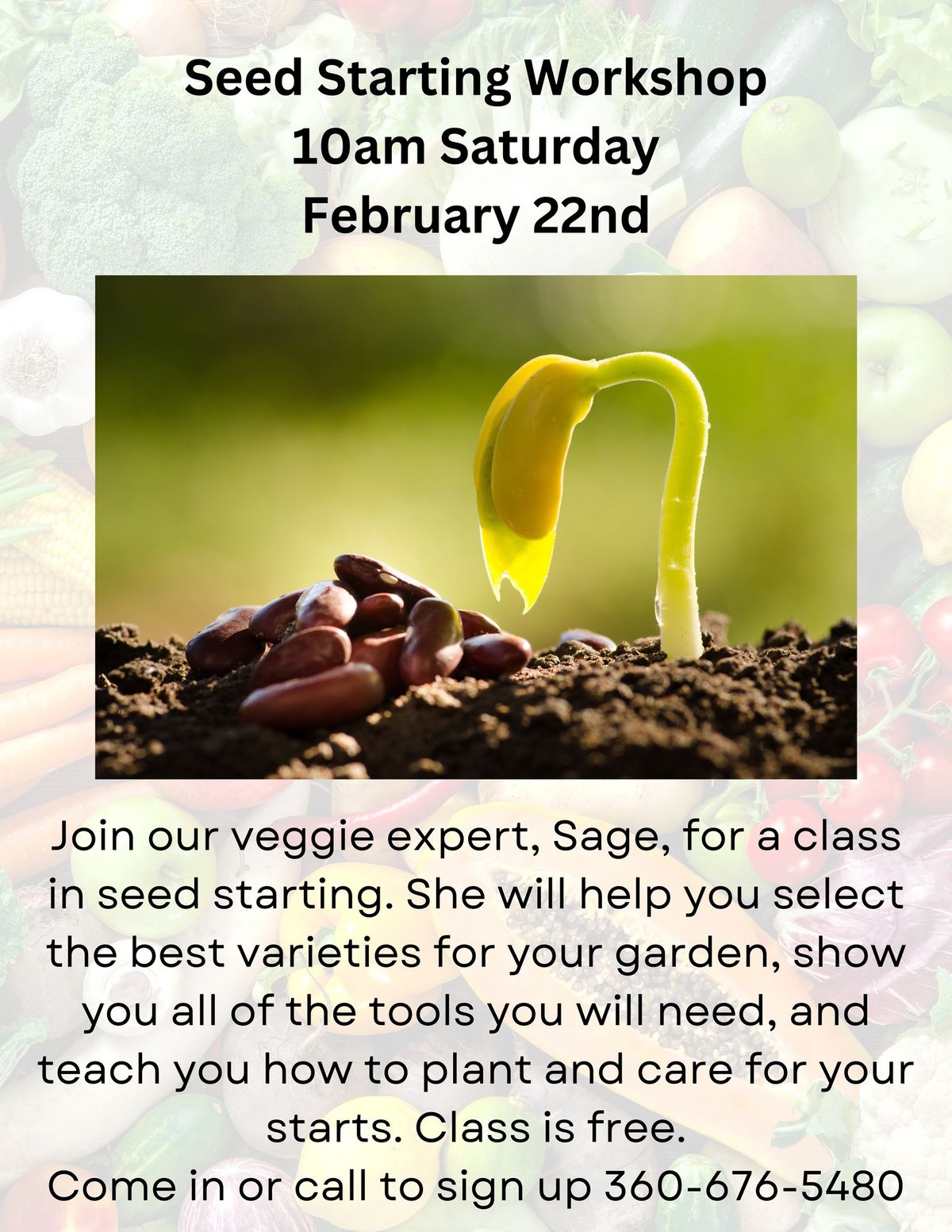 Seed Starting Workshop