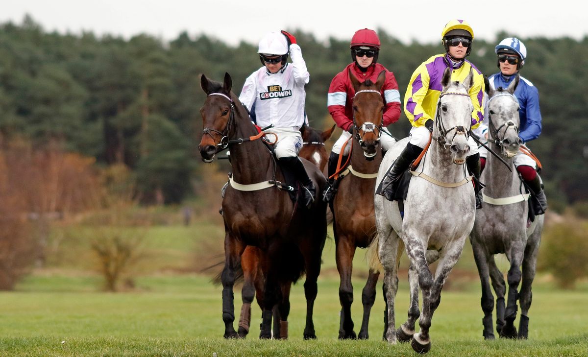 Afternoon Racing at Market Rasen Racecourse 