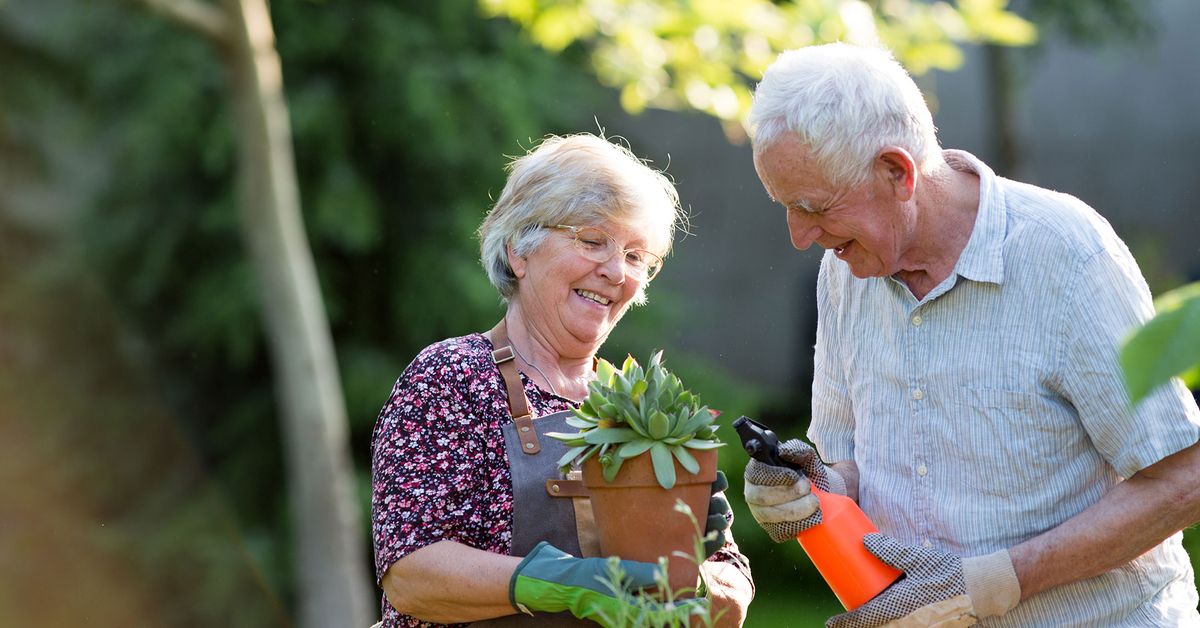 Forest Lake Gardens Open Day