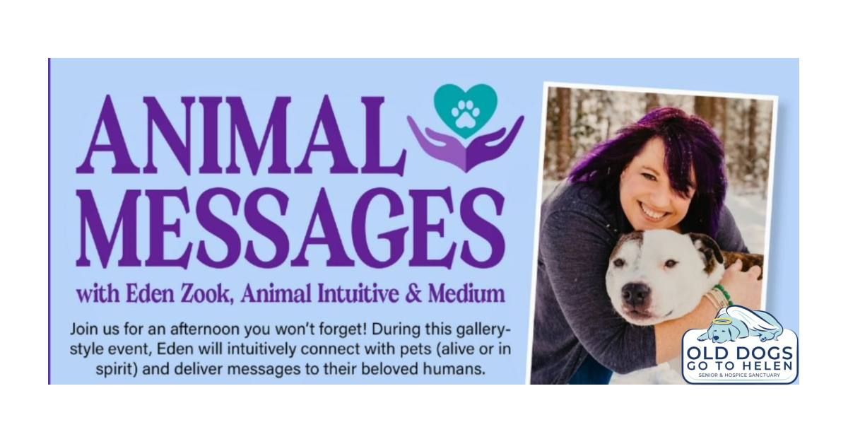 Animal Messages with Eden Zook for Old Dogs Go To Helen 