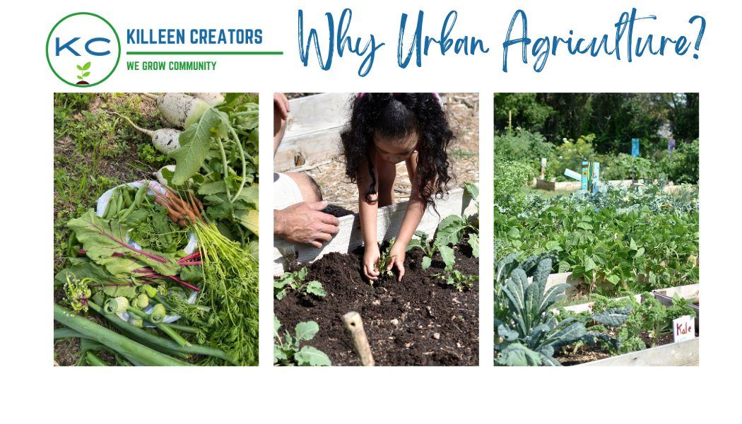 Why Urban Agriculture?