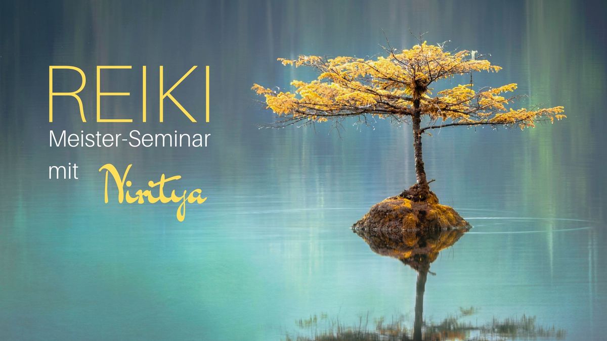 Reiki Meister Seminar 