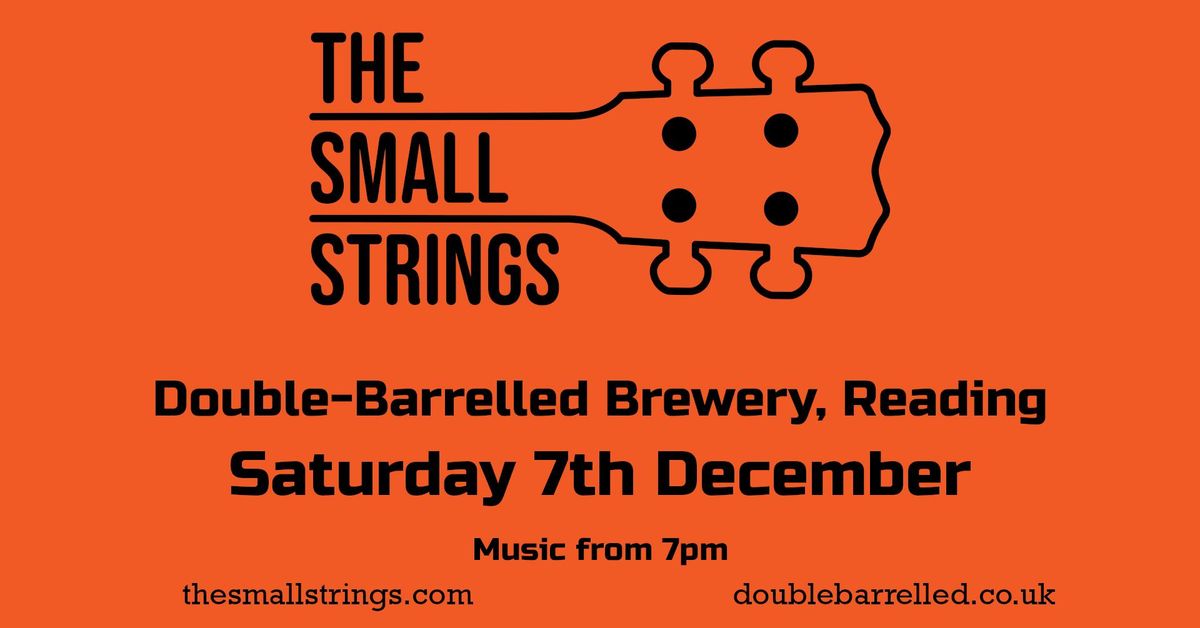 The Small Strings - live at Double-Barrelled, 7th Dec 2024