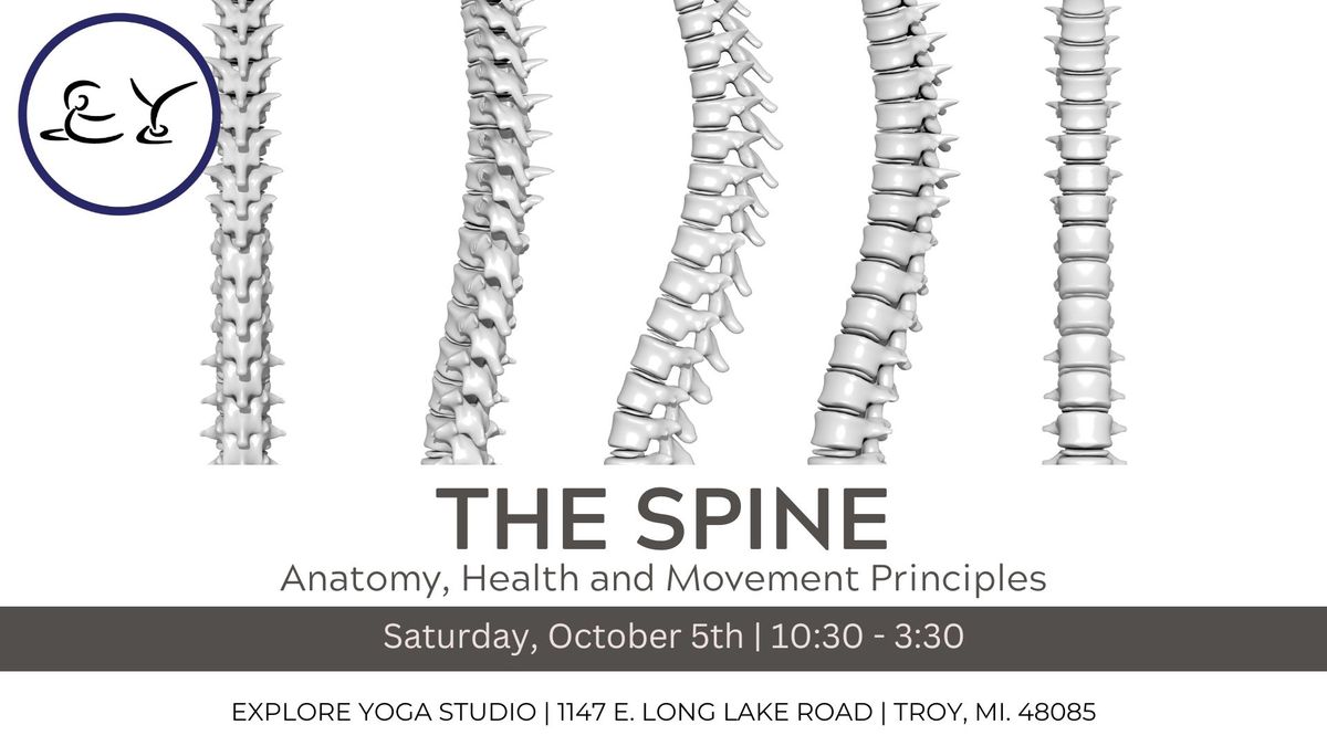 The Spine:  Anatomy, Health & Movement Principles