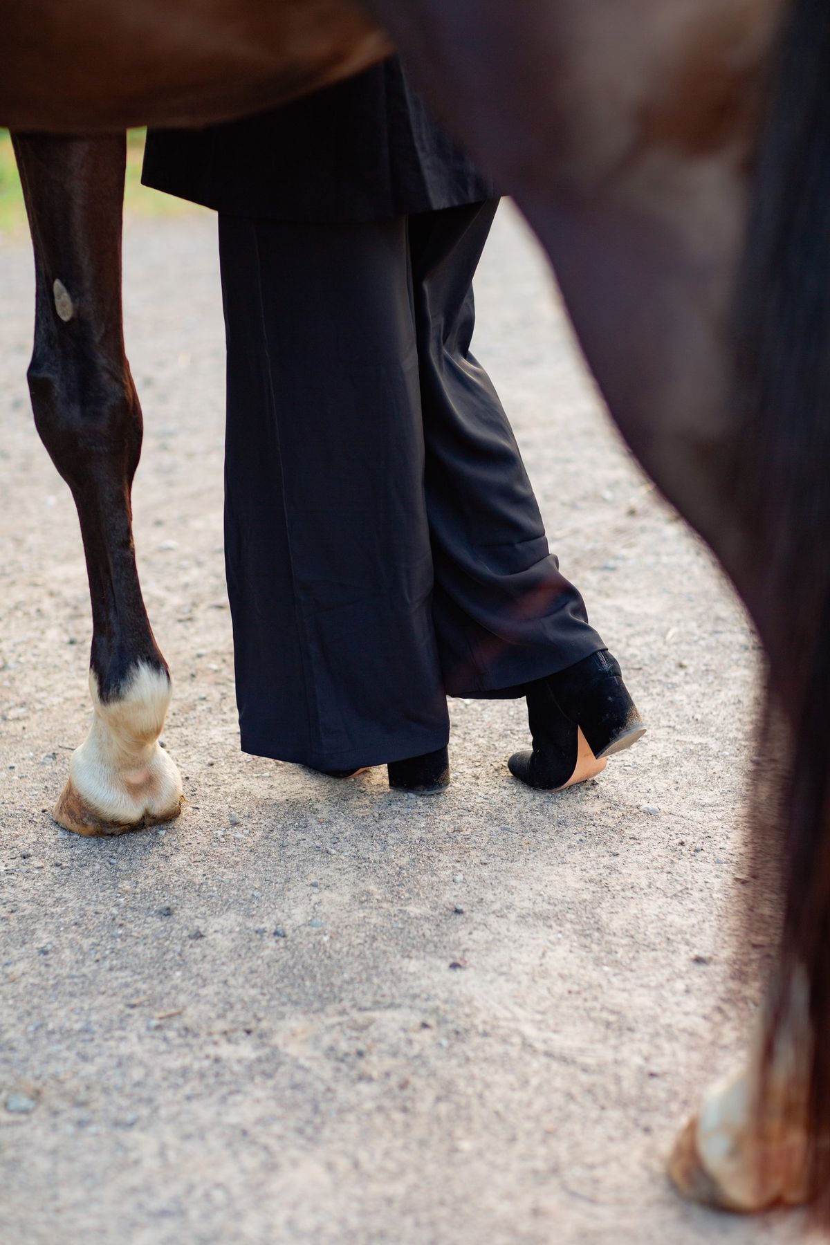 Equestrians in Biz Mixer