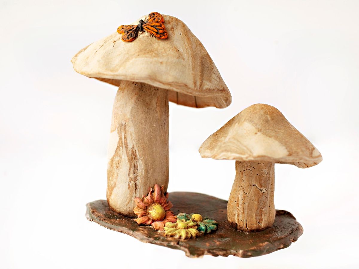 Family Fanciful Fungi