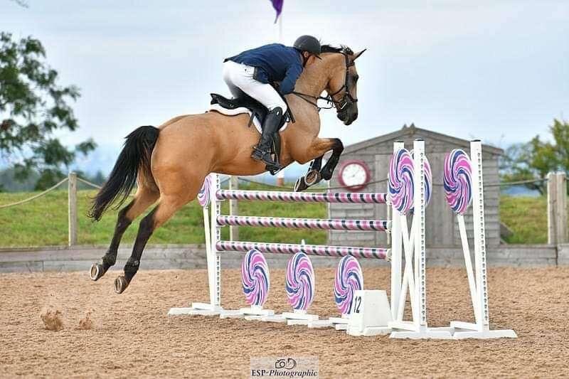 Matthew Hall Show Jumping Clinic (2)