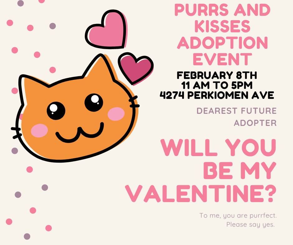 Purrs and Kisses Adoption Event!