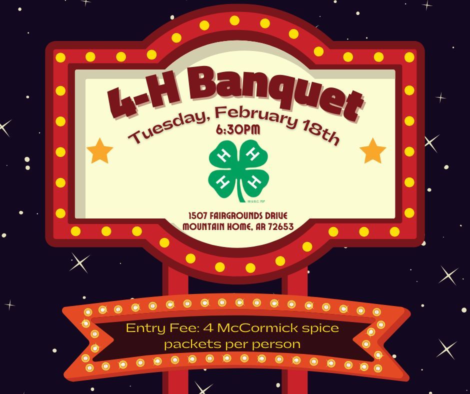 A Night at the Movies 4-H Banquet