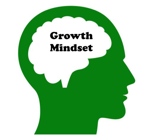 Volunteer Inservice: Growth Mindset