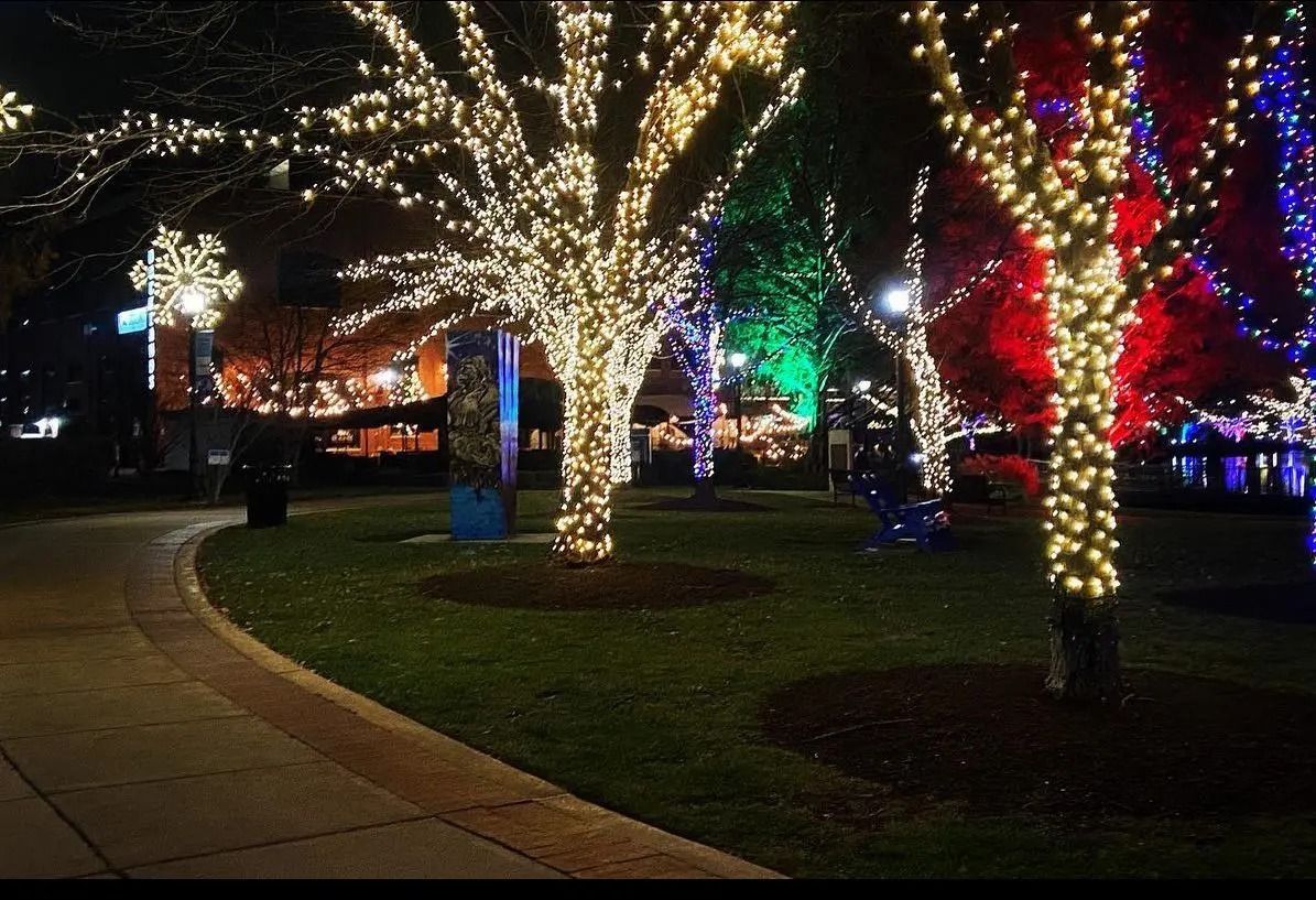 Holiday Lights Run\/Walk