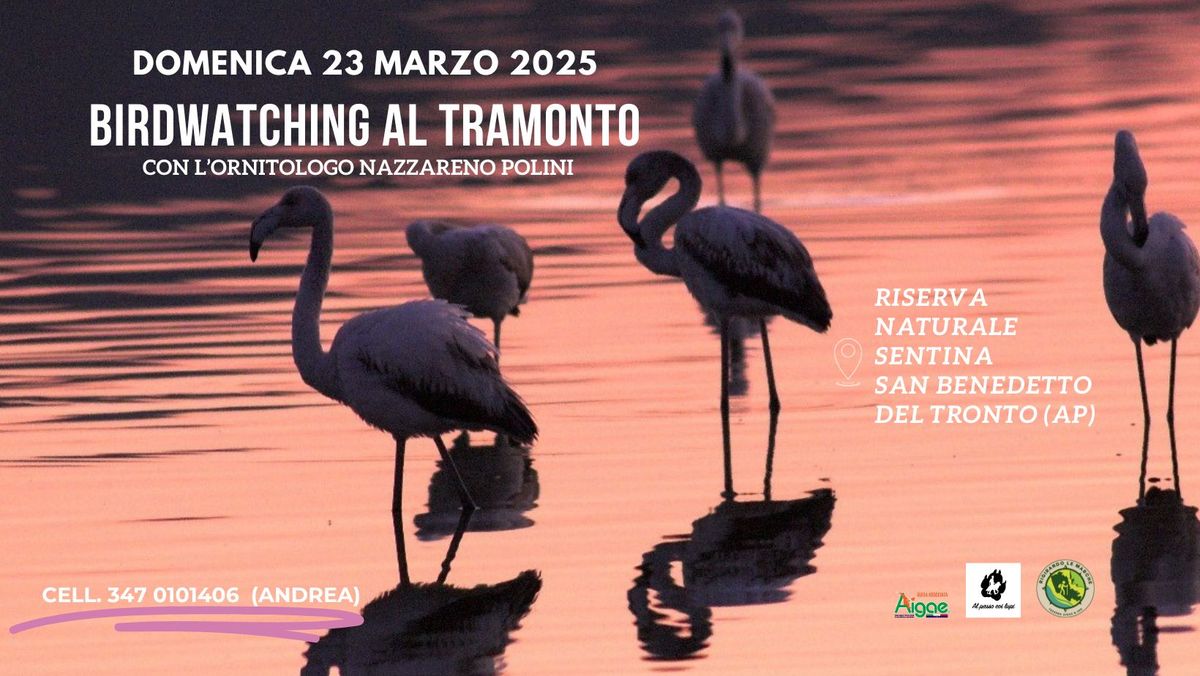 BIRDWATCHING AL TRAMONTO CON L'ORNITOLOGO