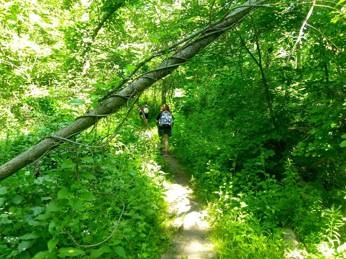 Summer Nature Camp - Spaces Available!