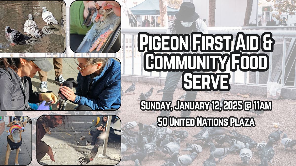 Pigeon First Aid & Community Food Serve