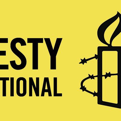 Amnesty International Toronto Organization (AITO)