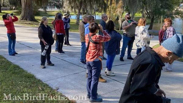 Beginner Bird Walk - Ocala Wetland Recharge Park