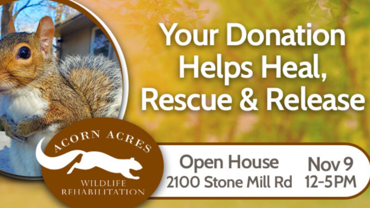 Open House at Acorn Acres!