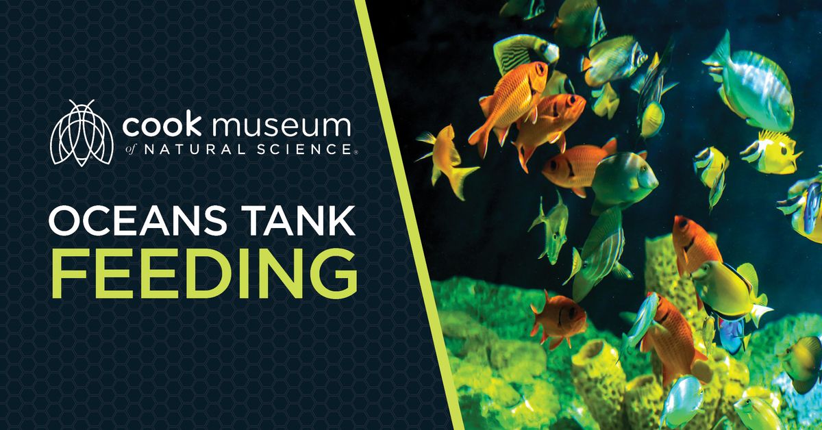 Oceans Tank Feeding