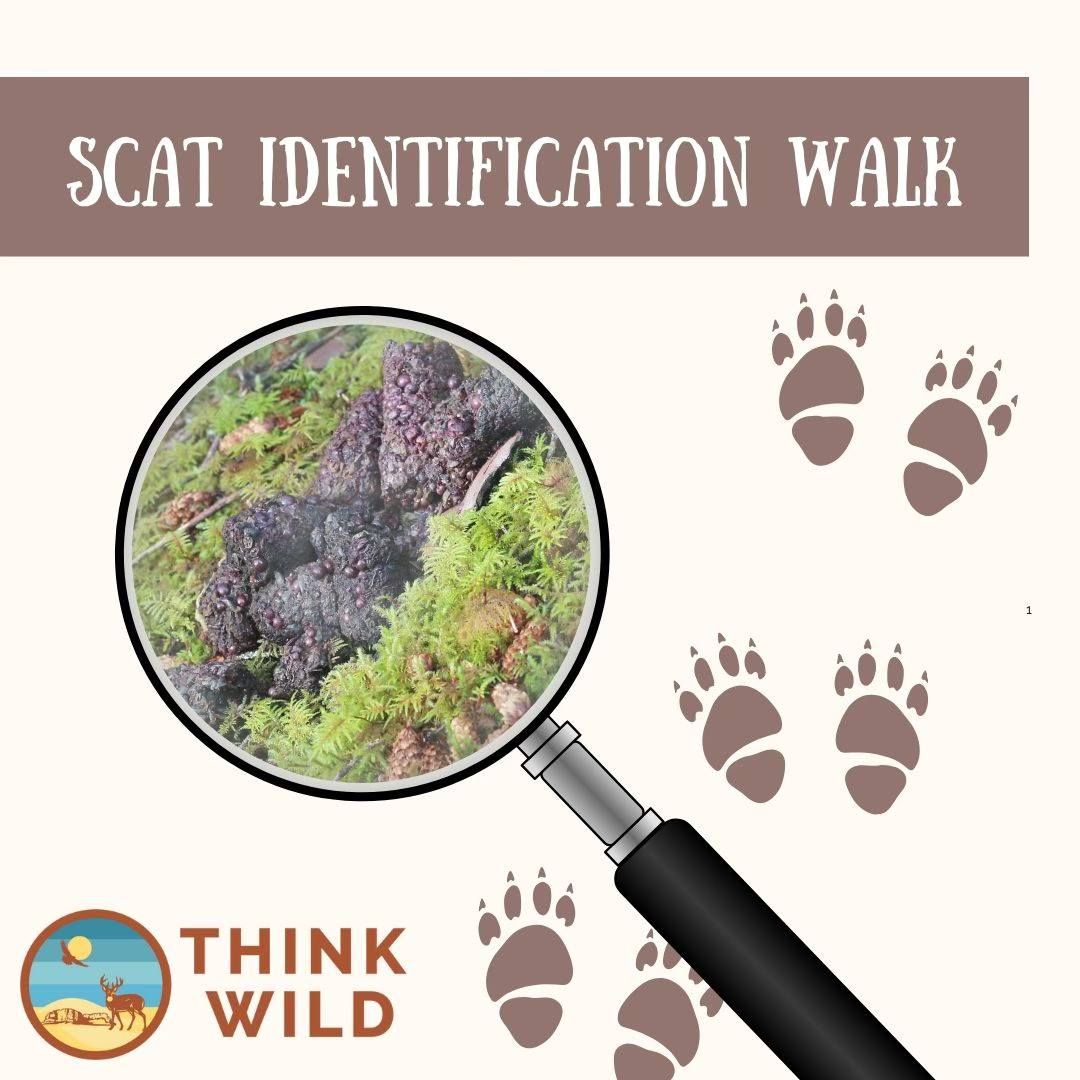 Scat Identification Walk