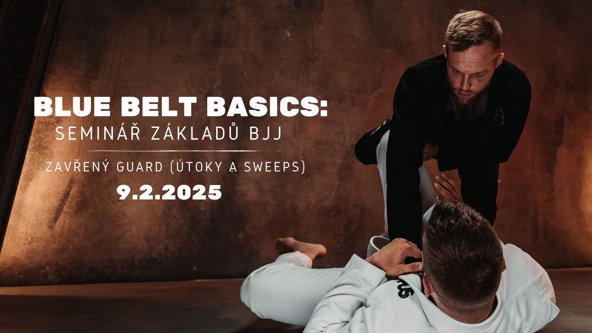 Blue belt basics : Zav\u0159en\u00fd Guard (\u00fatoky a sweeps) 