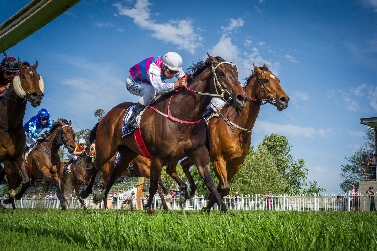 Coolmore Denman Cup Family Day