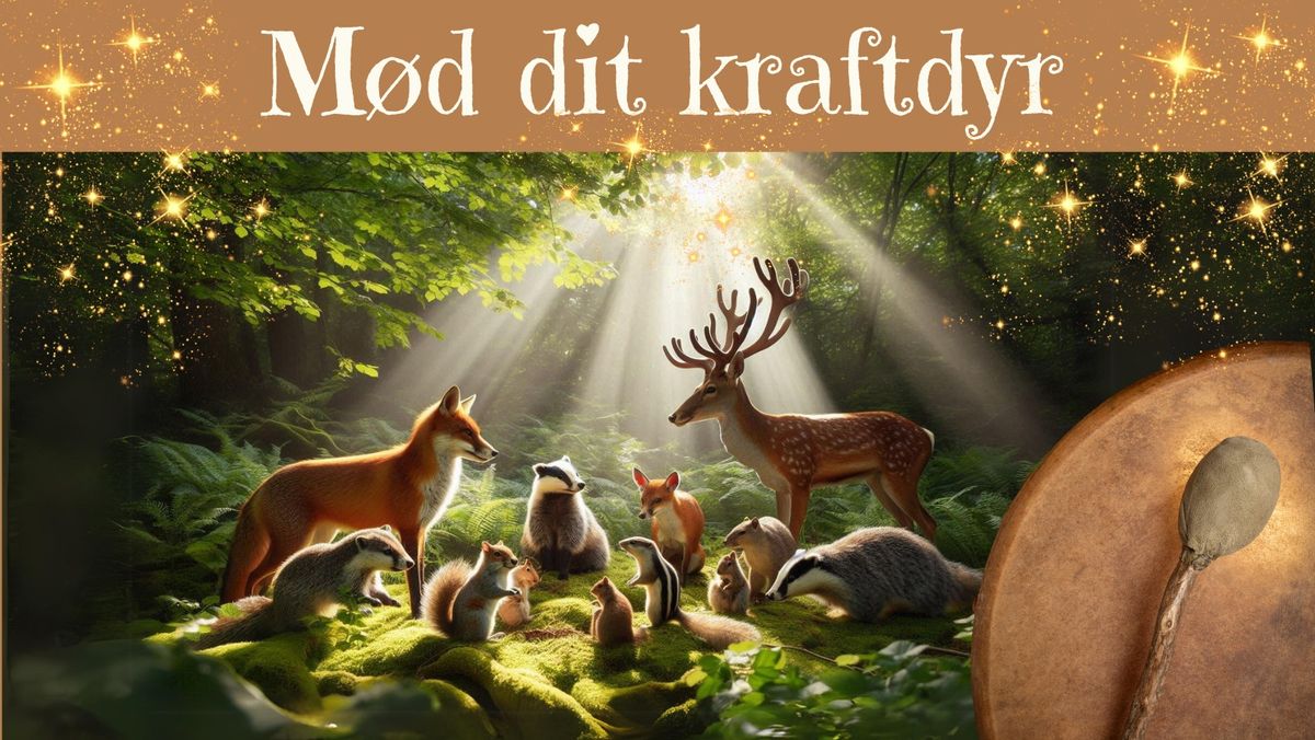 Trommerejse - m\u00f8d dit kraftdyr