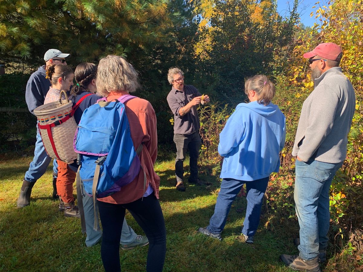 Foraging for Wild Foods and Medicines