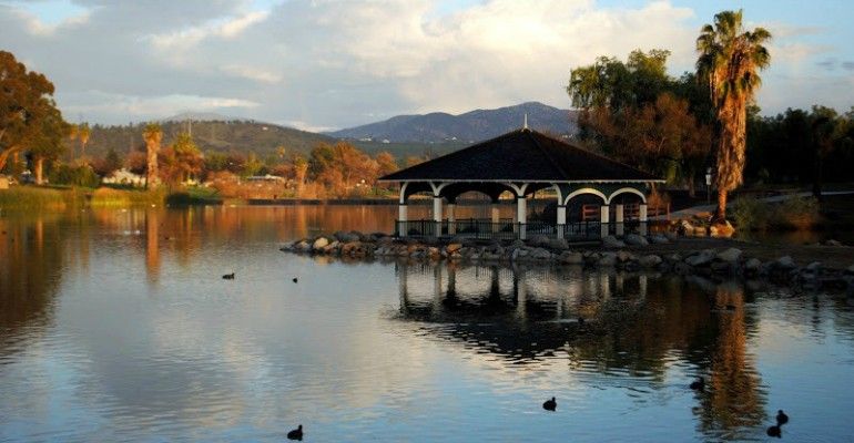 Birding Outing: Lindo Lake