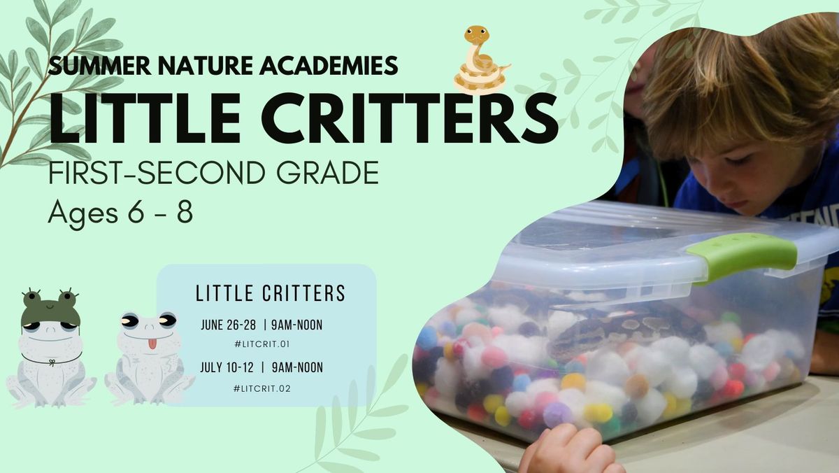Summer Nature Academies | Little Critters 