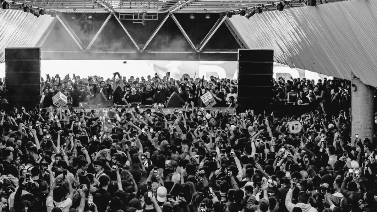 Antdot in Mar Del Plata