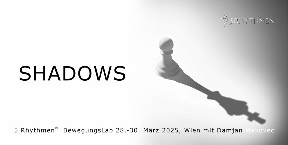 SHADOWS - 5Rhythmen BewegungsLab mit Damjan