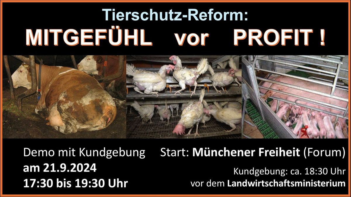 Tierschutz-Reform: MITGEF\u00dcHL vor PROFIT