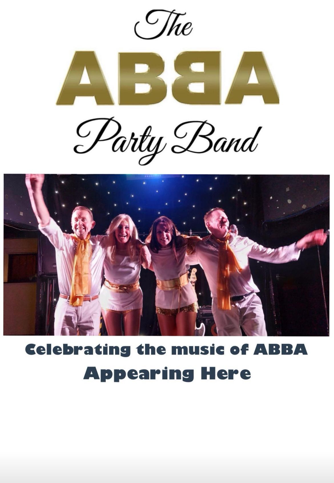 ABBA Tribute and Party Show