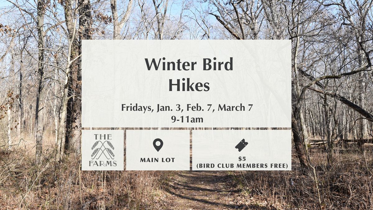 Winter Bird HIkes