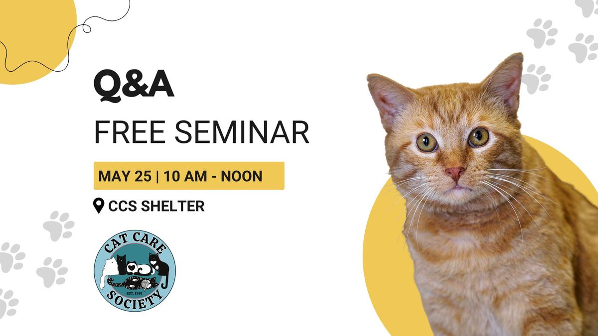 Free Seminar: Q&A with a Cat Behaviorist
