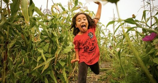 Olamim: Farm Playgroup for Littles in Spanish