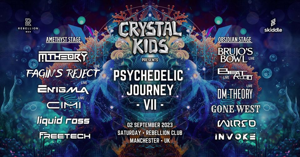 Crystal Kids : Psychedelic Journey VII