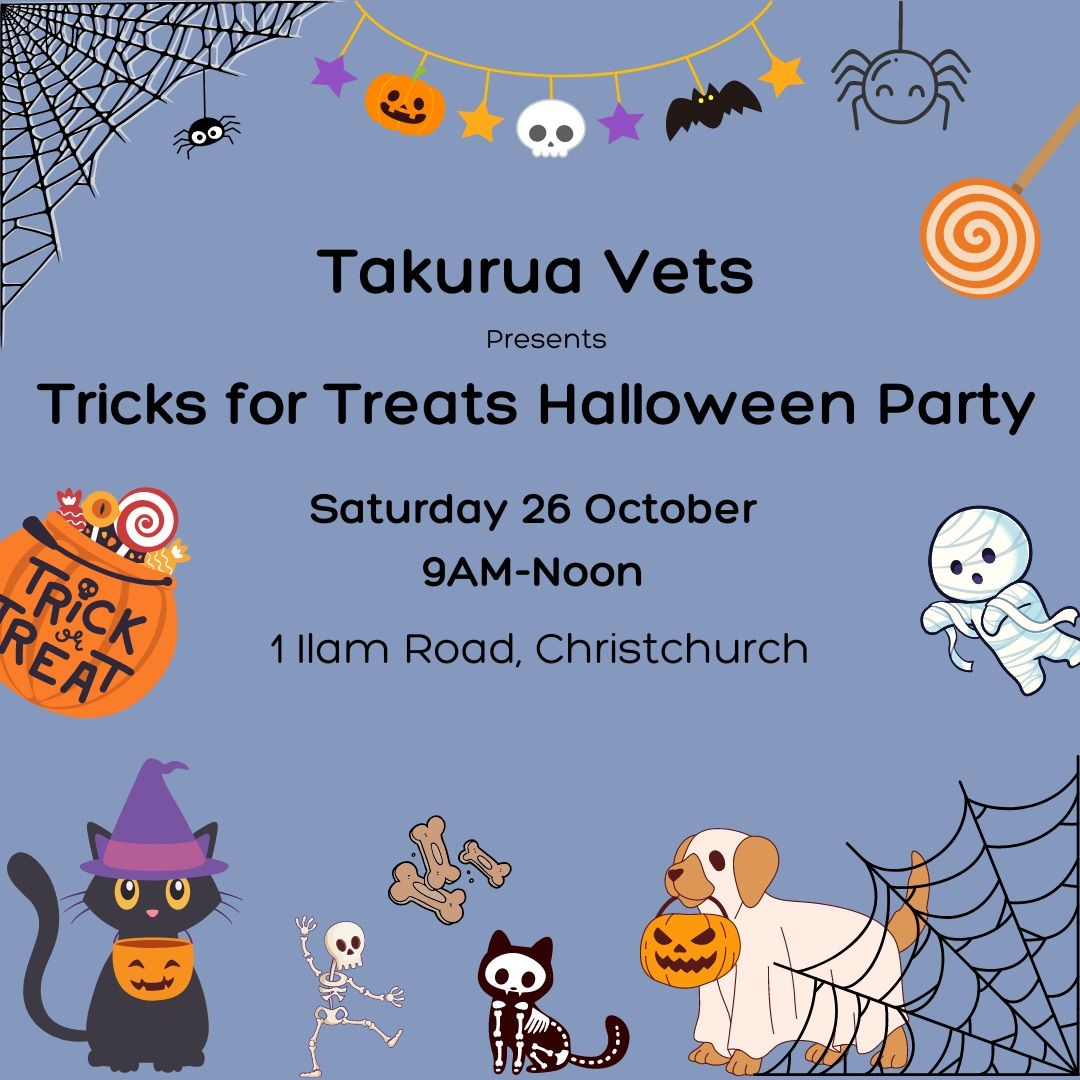 Takurua Vets Halloween Party 